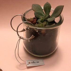 Stella + Dot! Silver Trumpet Hoop Earrings